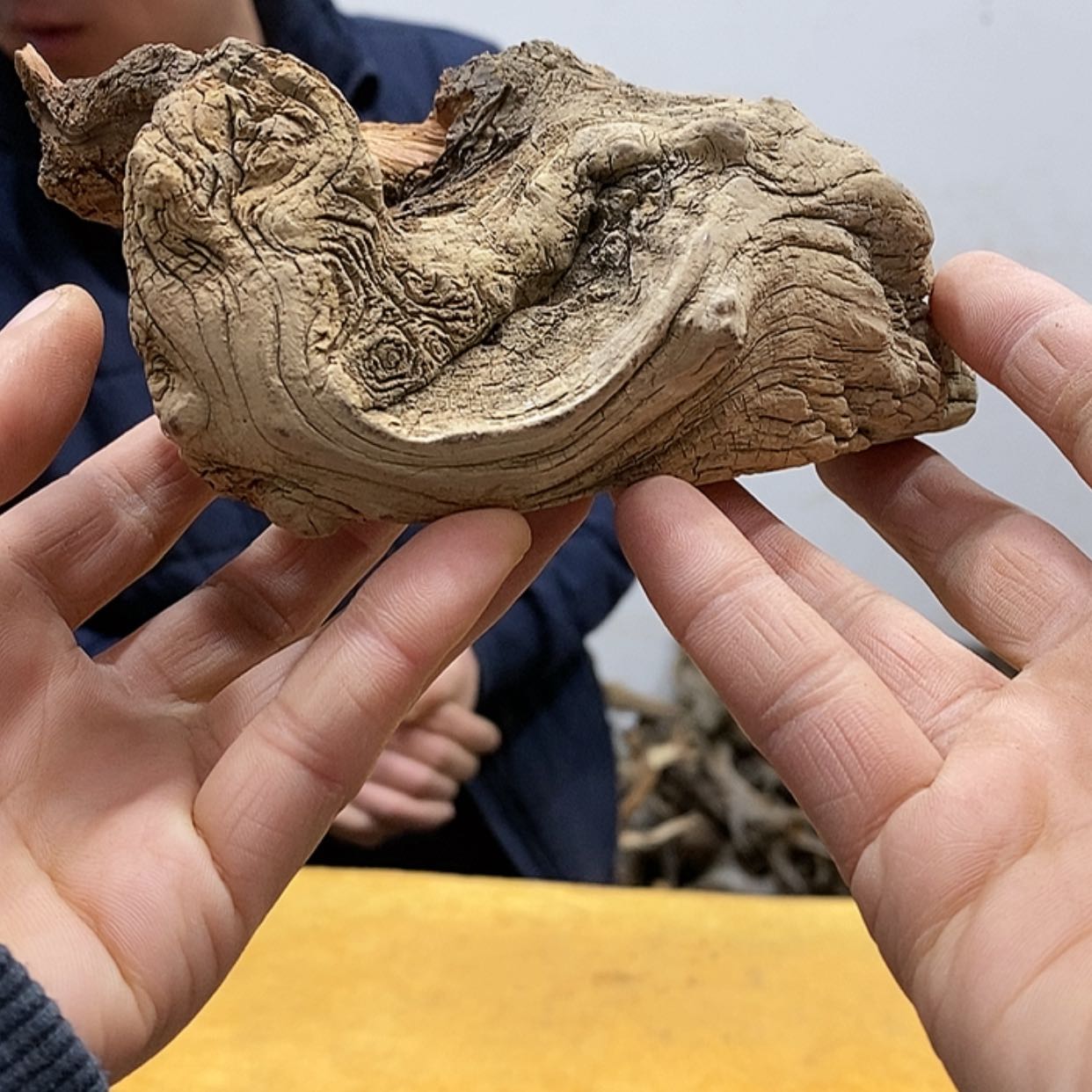 【闪购商品】柏木张****销