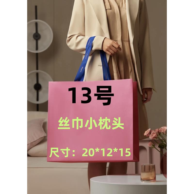 【13号】 冬季新款休闲百搭丝巾小枕头包  907