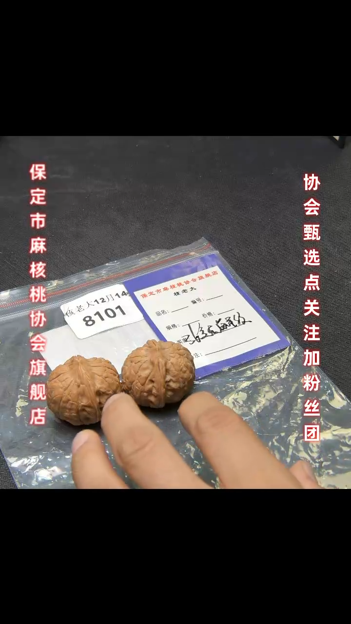 【闪购商品】文玩核桃把件36龟甲纹 8101
