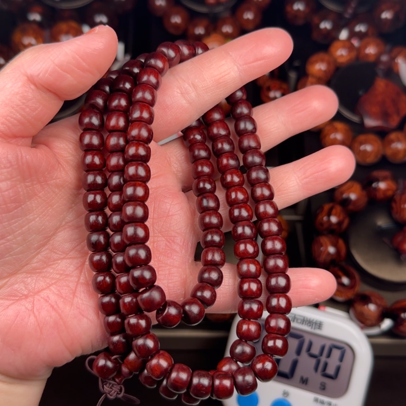 【闪购商品】木头梅*盼5e