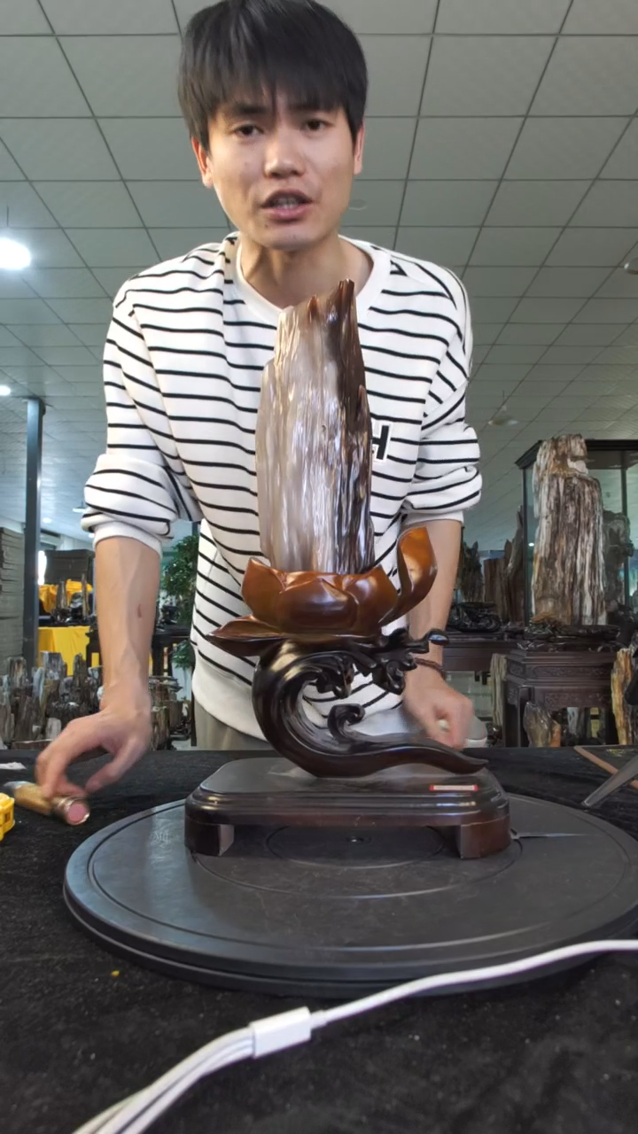 【闪购商品】硅化玉珠宝奇石未镶嵌1