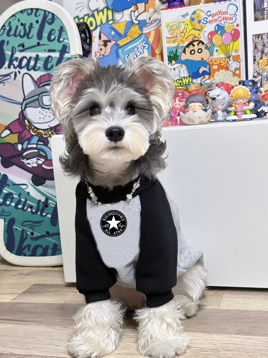 宠物猫咪狗狗春秋衣服圆领拼色加绒加厚保暖潮牌卫衣中小大型犬