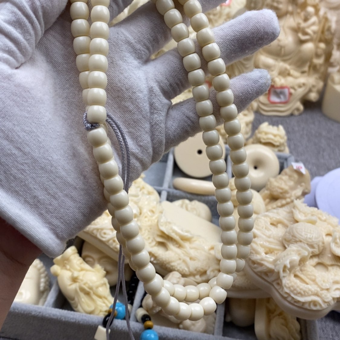 【闪购商品】红贵宝千*猛犸7*8