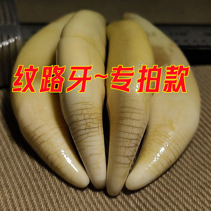 非金属吊坠 灰灰纹路牙吊坠狼牙纹路牙项链精品纹路牙挂