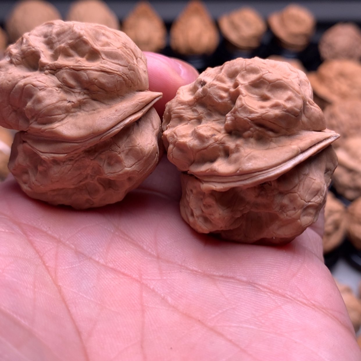 【闪购商品】文玩核桃把件?****l