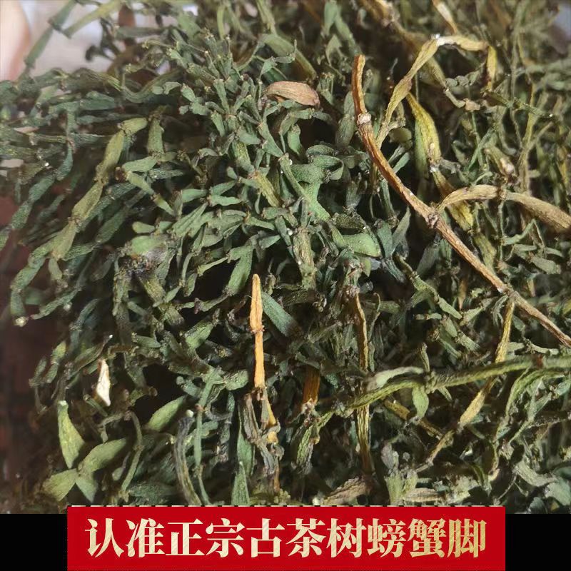 云南螃蟹脚茶天然古树茶寄生茶普洱生茶散茶100克