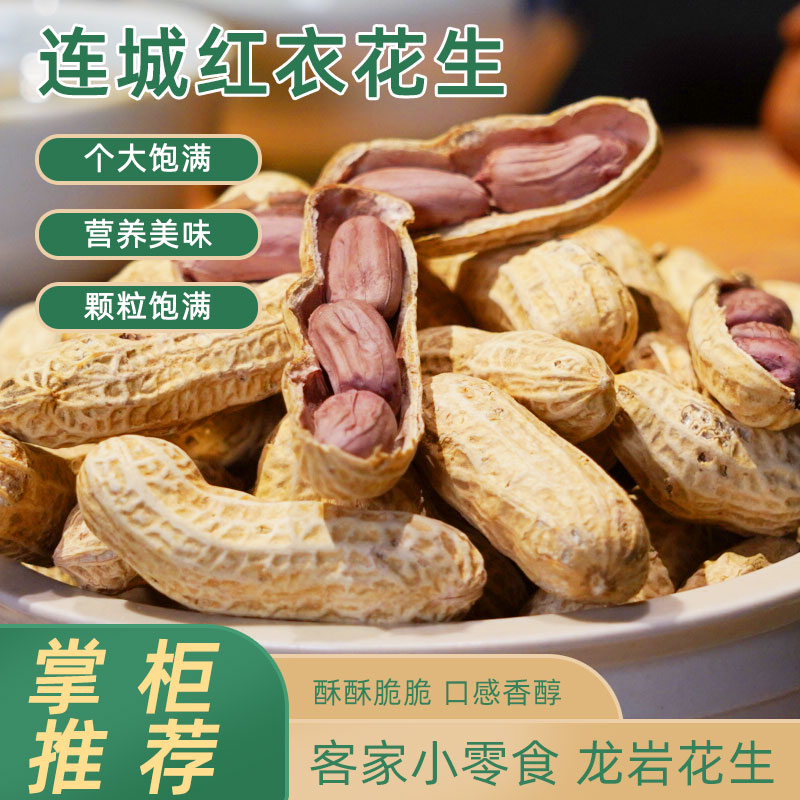 福建龙岩花生红衣花生带壳红衣花生炒货休闲五香花生小零食即食
