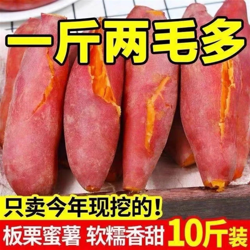 【时令】新鲜地瓜沙地番薯板栗红薯蜜薯超甜粉糯包邮香薯自种广西山