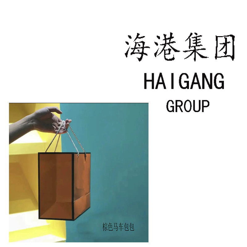 （福利款）新款带钻H型挂件女士手提包
