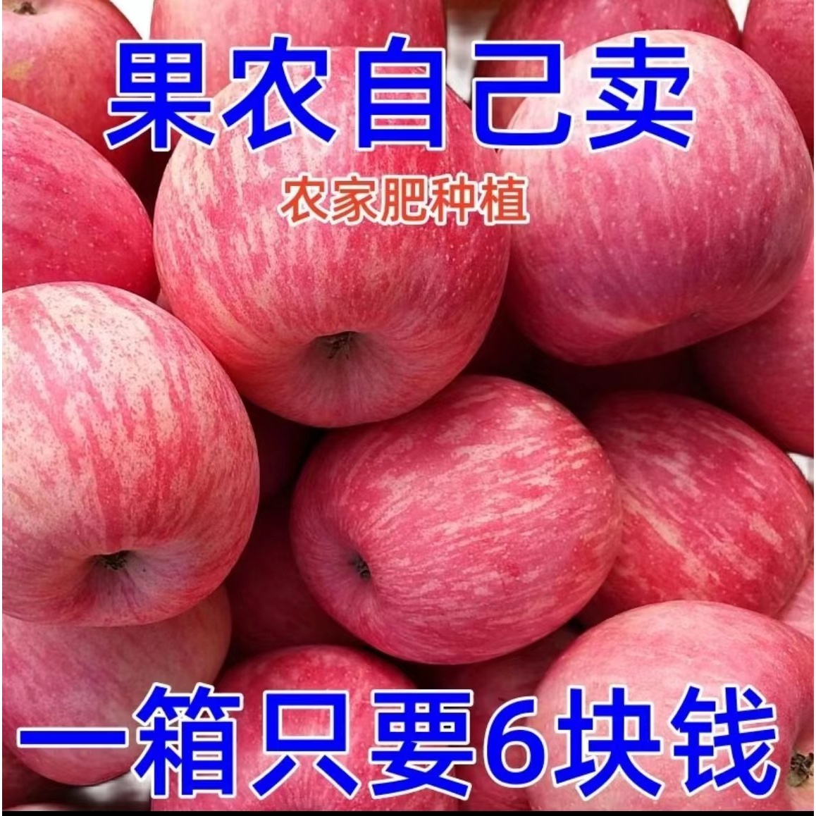 冰糖心苹果山西红富士正宗苹果当季新鲜现摘苹果脆甜正苹果水果