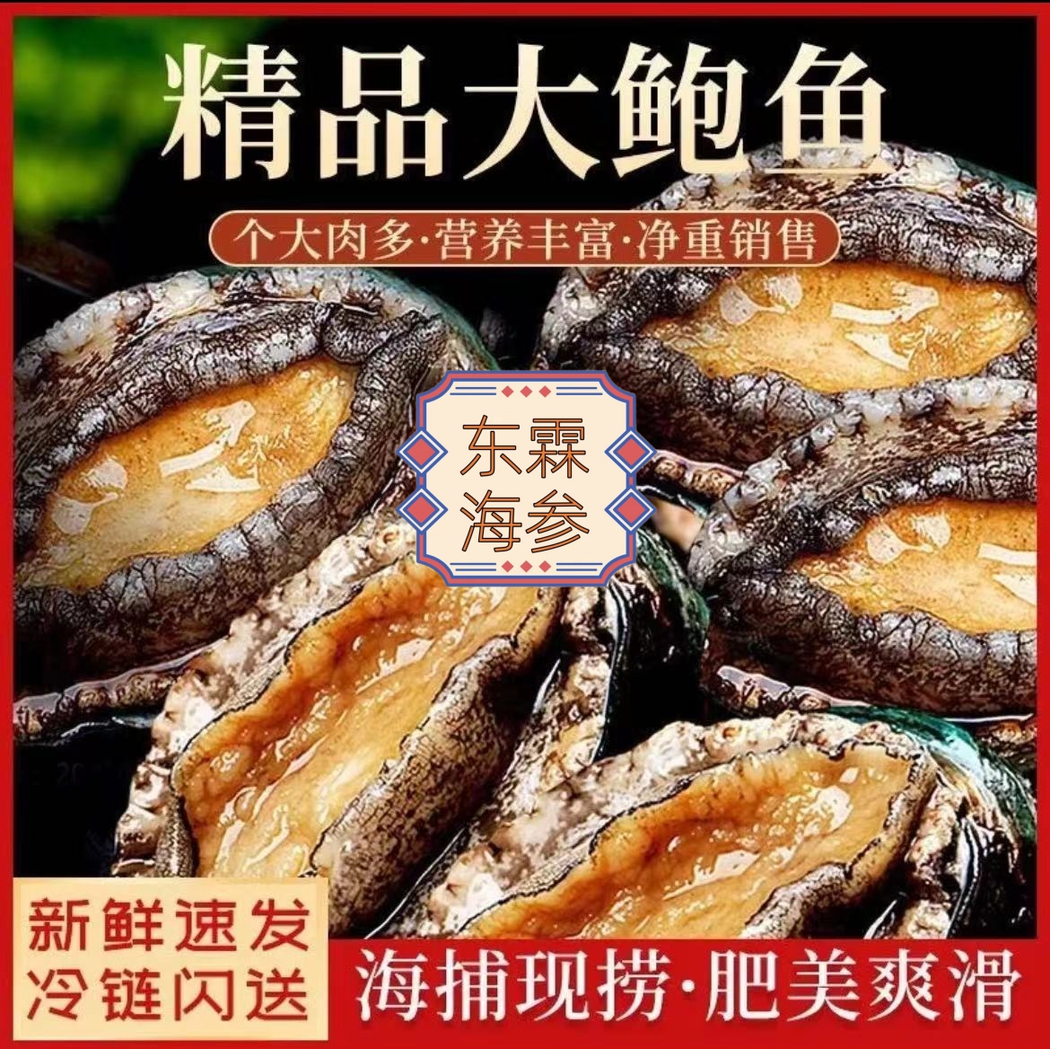 【赠品】买海参送鲍鱼半斤【6头】营养新鲜高品质开袋即食免泡发