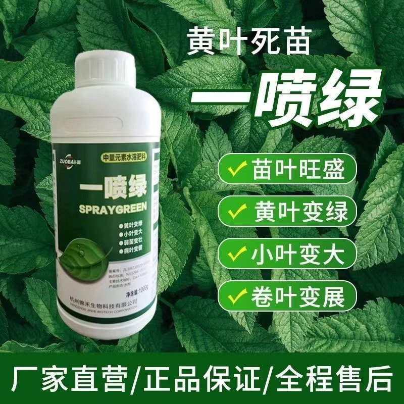 zf 叶绿素50克一包水溶肥料控旺增绿厚蔬菜花卉果树通用型绿壮
