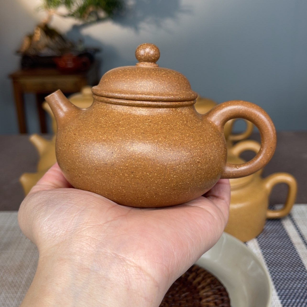 【闪购商品】段泥茶壶