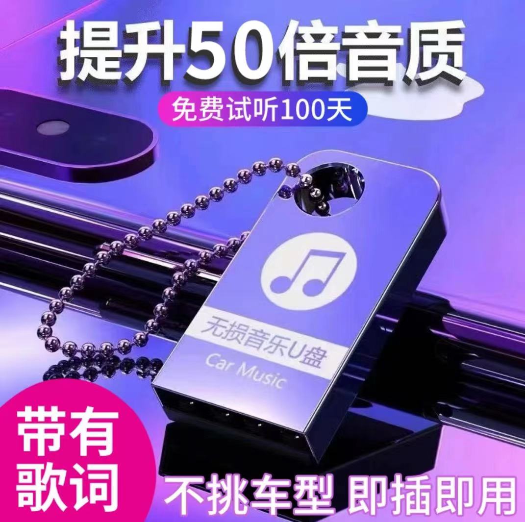 【50倍音质 至尊版】2023新款 当月更新 车载盘 不限车型 D