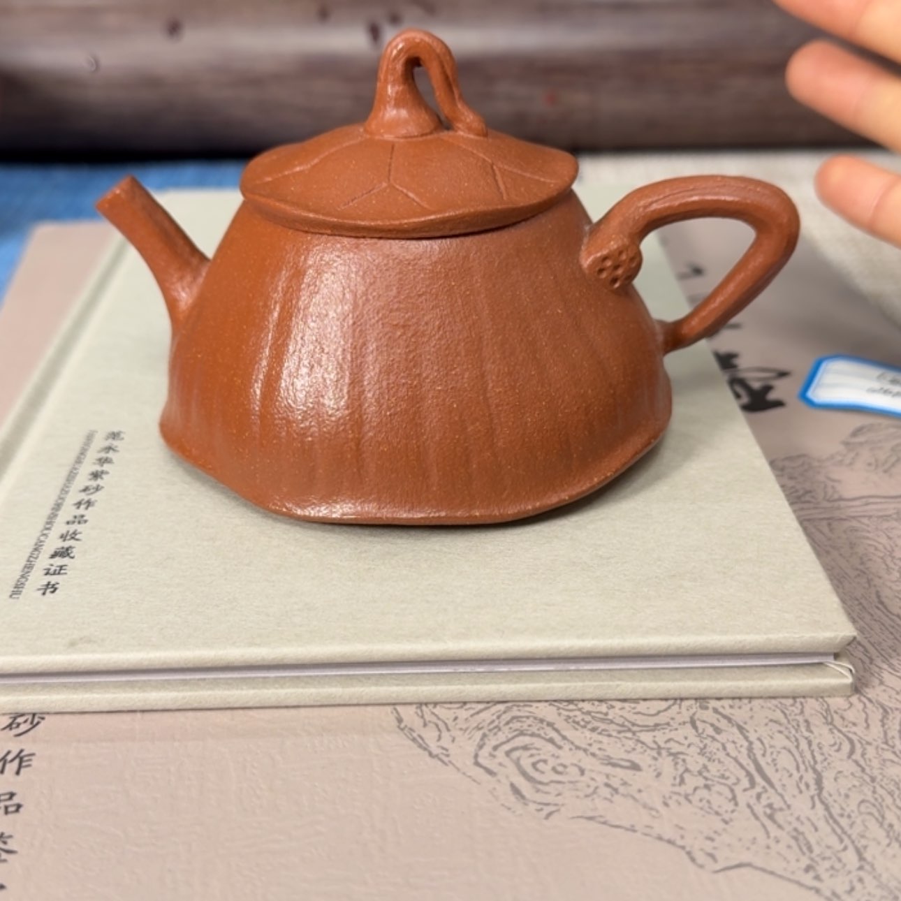 【闪购商品】紫砂紫砂