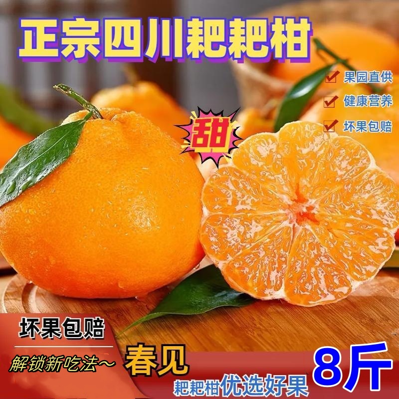 四川春见粑粑柑柑橘新鲜爆汁多汁爽口细腻 2/5/8斤非丑橘不知火橘