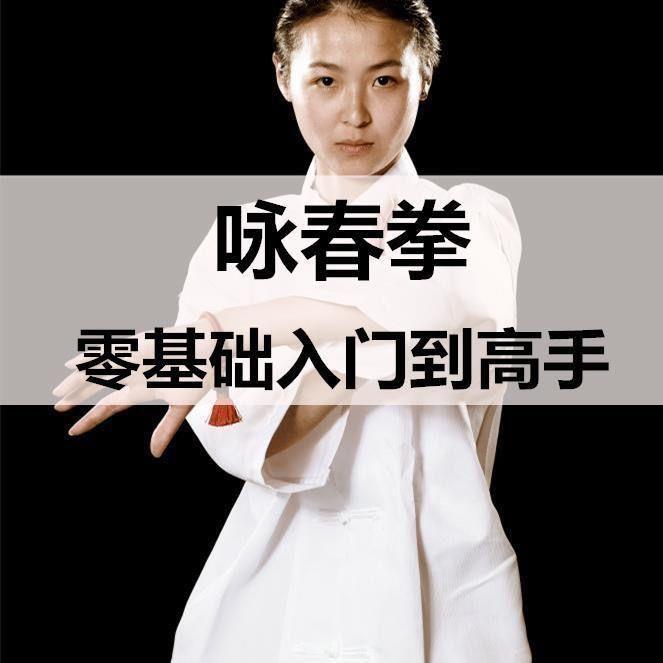 咏春视频教程教学从零基础入门到精通全套高清上海之顶共十课素材