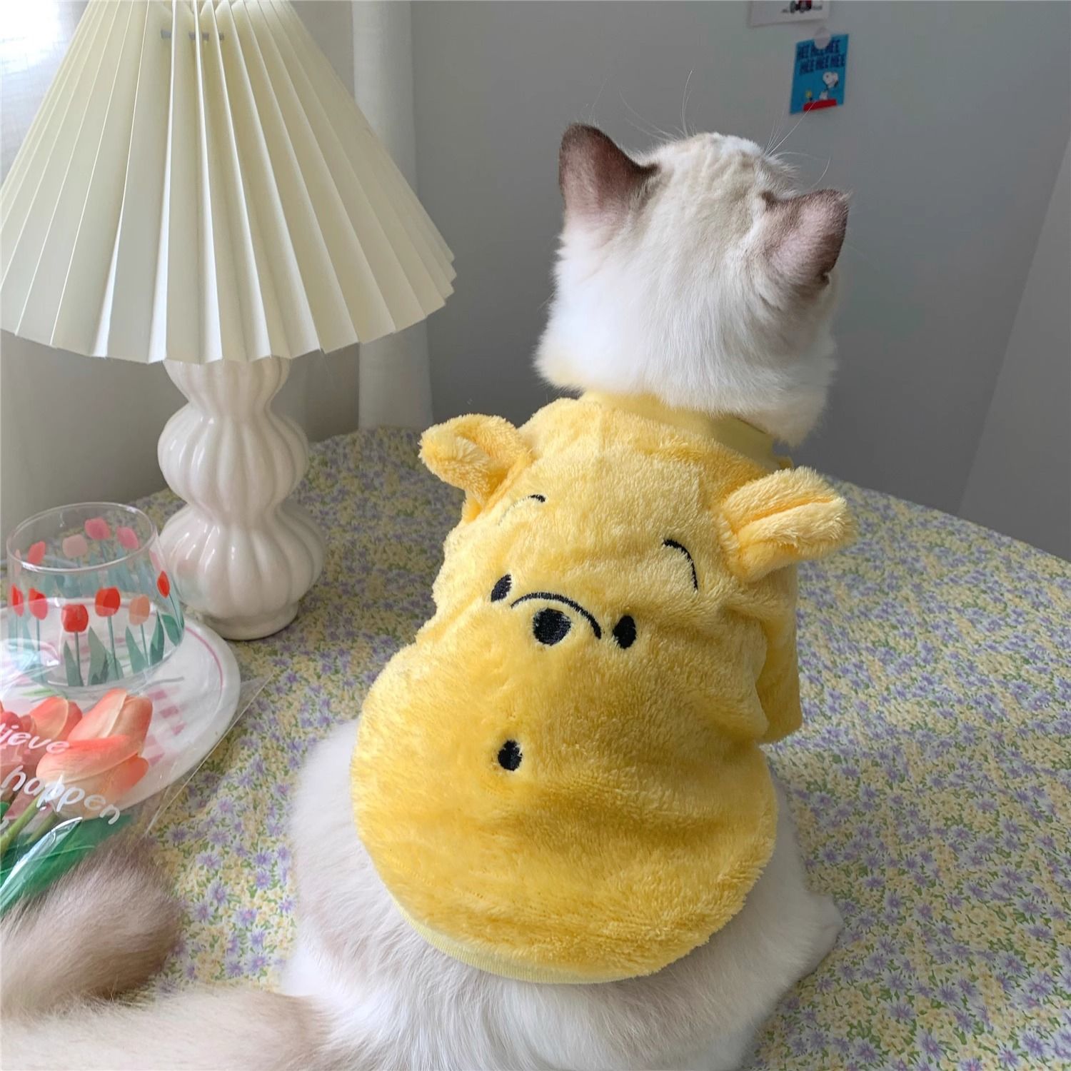 宠物搞怪猫咪衣服时尚潮流保暖卫衣无毛猫布偶猫银渐层防掉毛