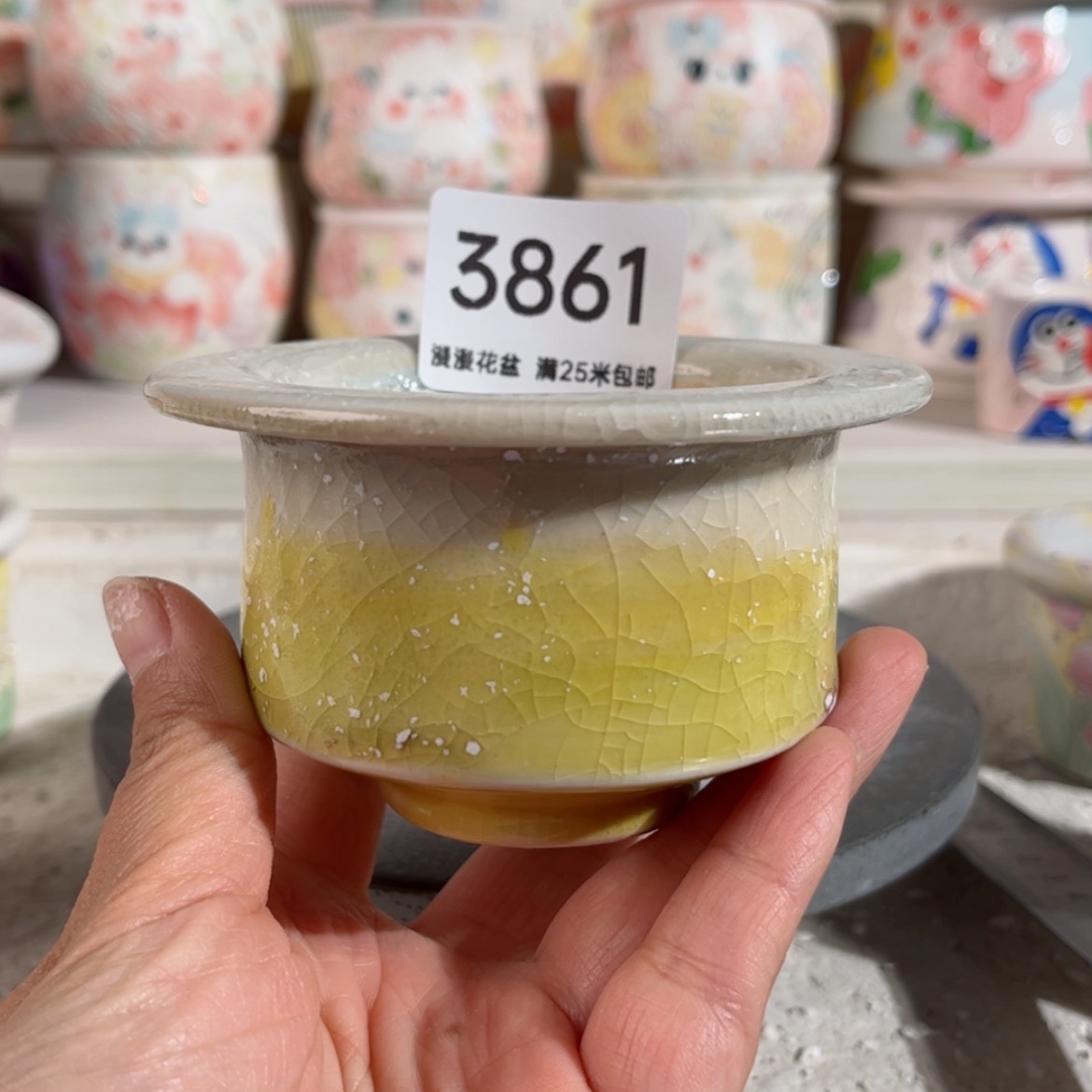 【闪购商品】瓷盆3861