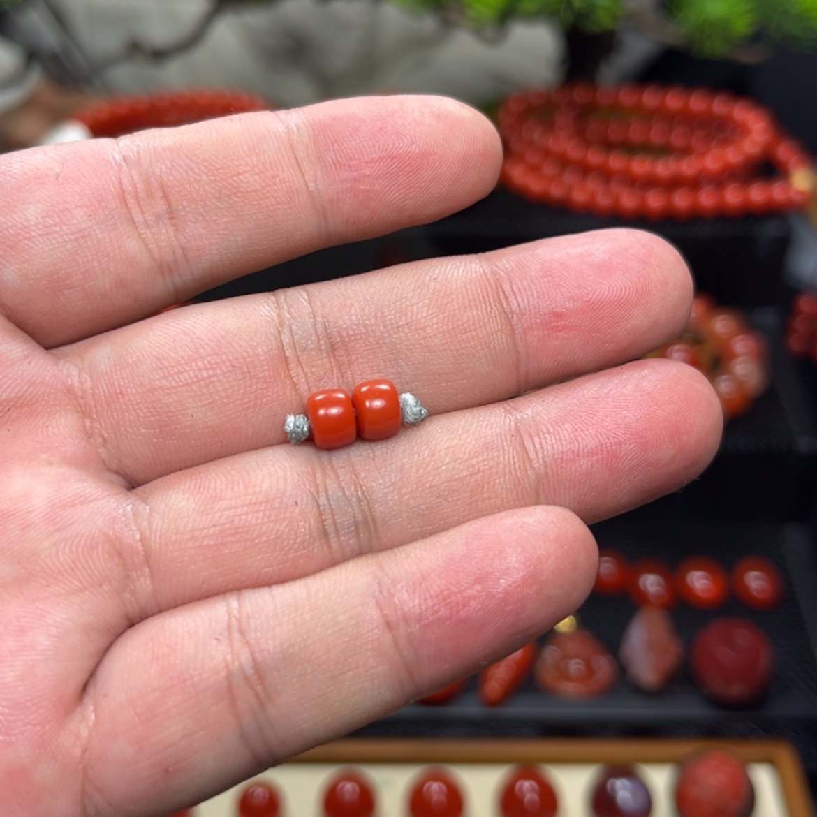 【闪购商品】南红玛瑙对珠未镶嵌完*