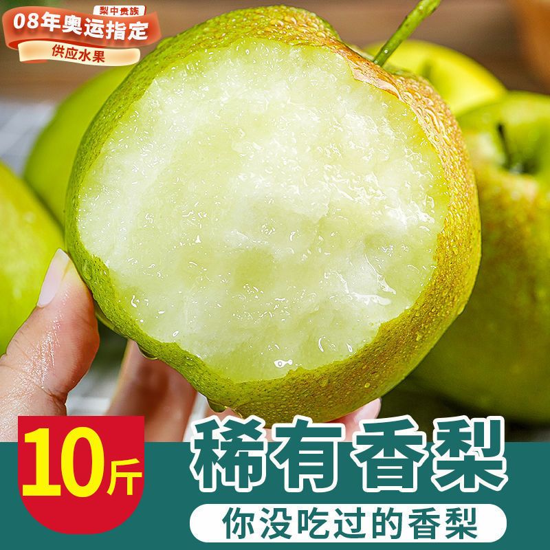 【庆庆】【玉露香梨】正宗山西梨子3/5/10斤脆甜酥脆香甜细腻皮薄
