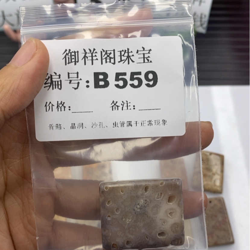 【闪购商品】硅化珊瑚（珊瑚玉）B未镶嵌︻****り
