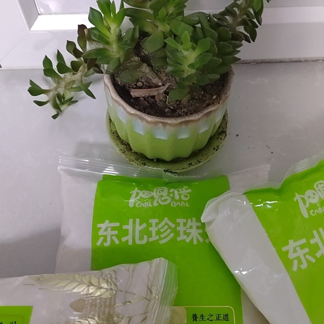 到手一包700克   破损丢件联系客服绿植盆栽商家