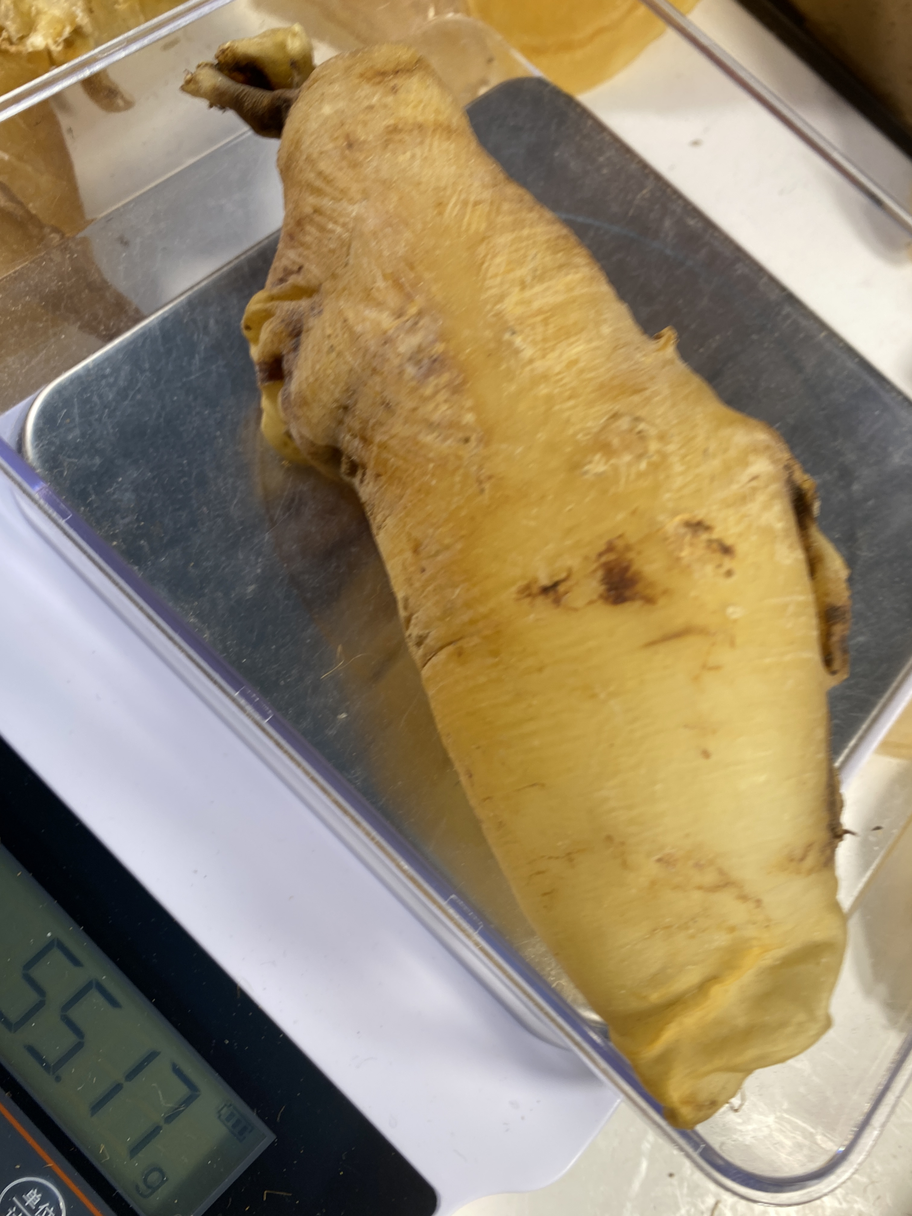 渔胶村斗湖临时散称1 g一500 g鱼胶广东汕头