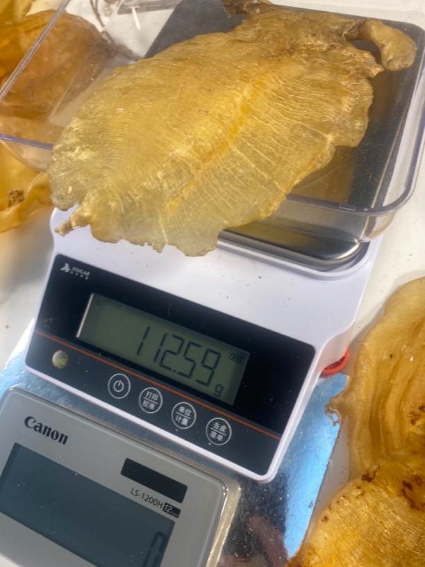 本港赤嘴鱼胶临时散称1 g一500 g鱼胶广东汕头