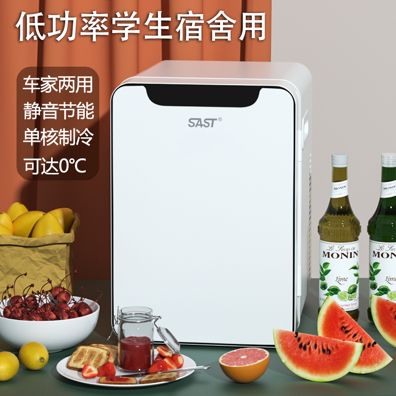 先科车载冰箱迷你冷藏加热冰箱家居办公寝室租房车用