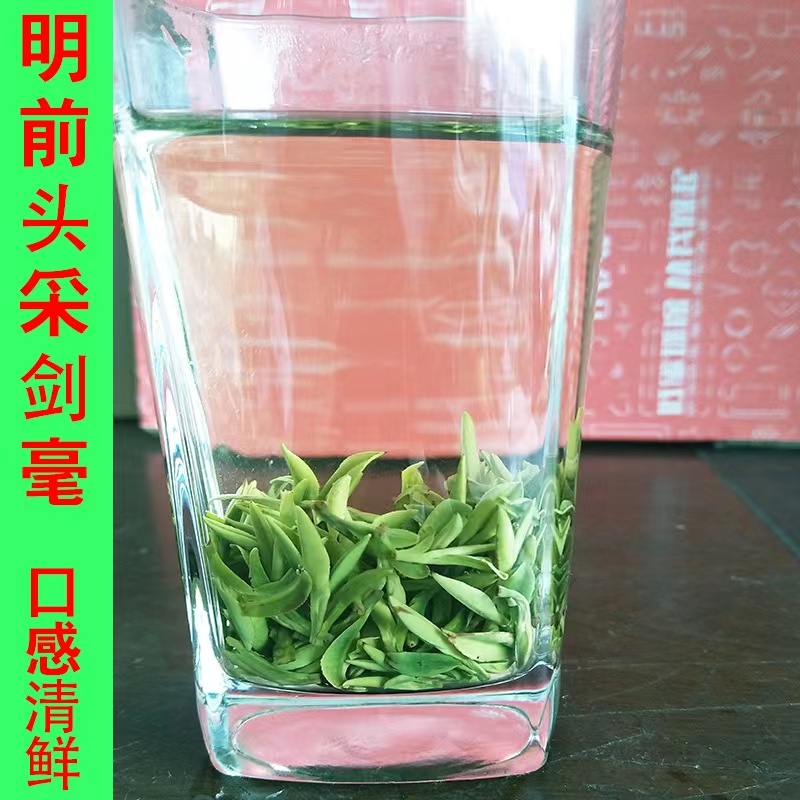 崂山绿茶明前春茶浓香2022一芽一叶豌豆板栗香青岛本地一斤500克