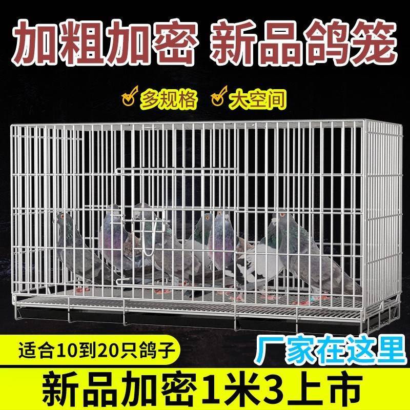 用鸽子大空间繁殖笼鸟笼鸽笼子笼不锈钢子色大号加密配对家养殖笼
