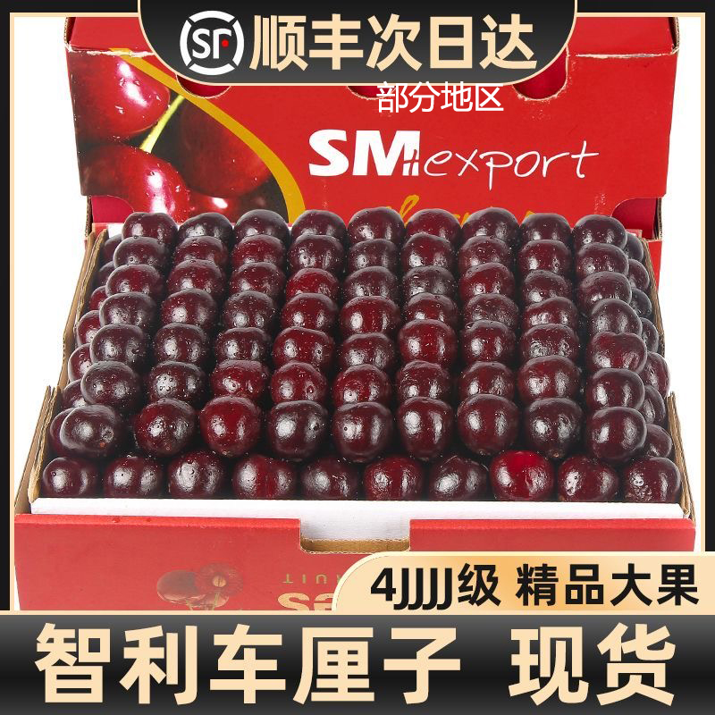 智利车厘子J/4JD新鲜水果进口桑提娜大樱桃应季