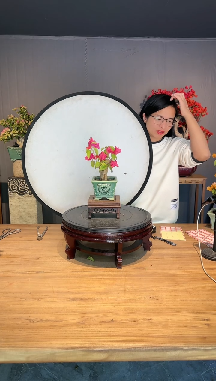 【闪购商品】阿华   同安红
