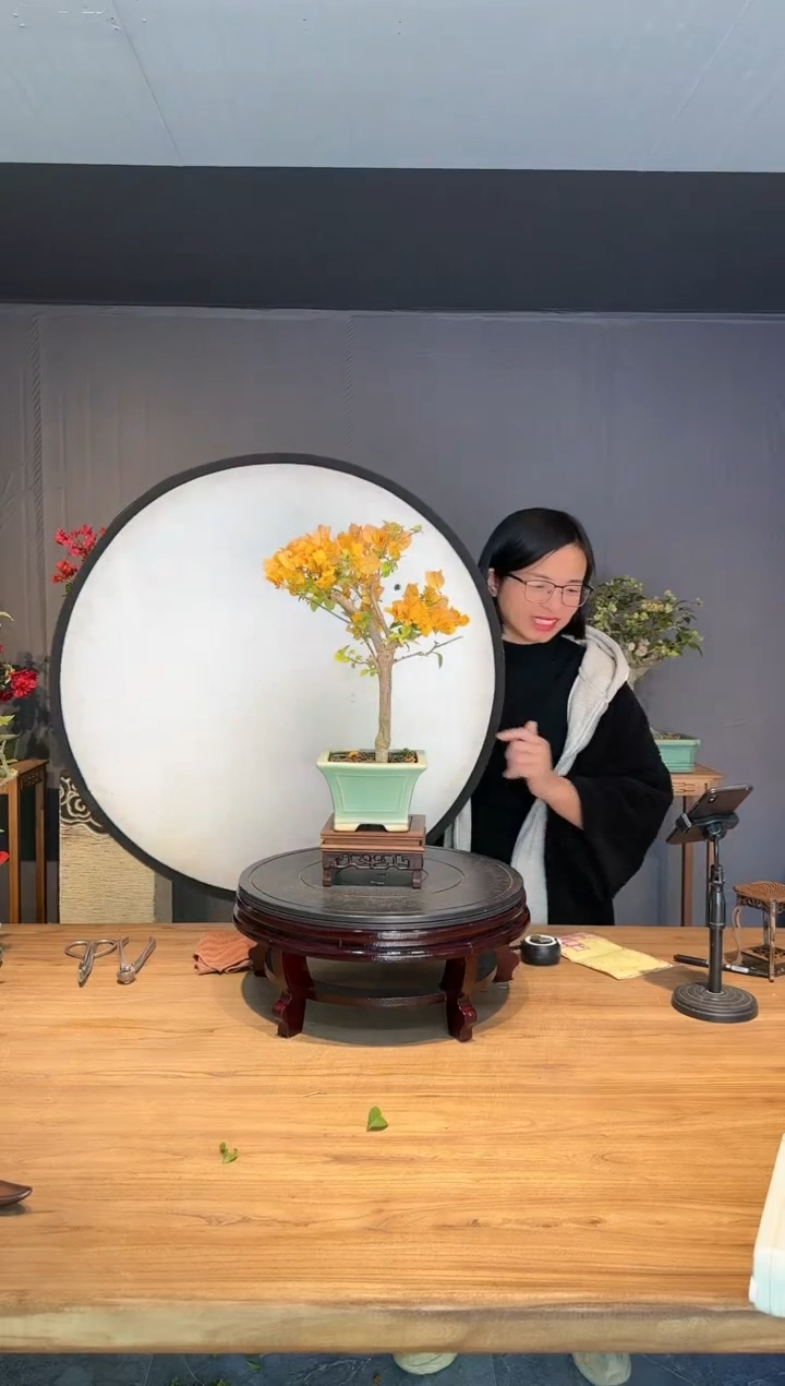 【闪购商品】摩卡   加州黄