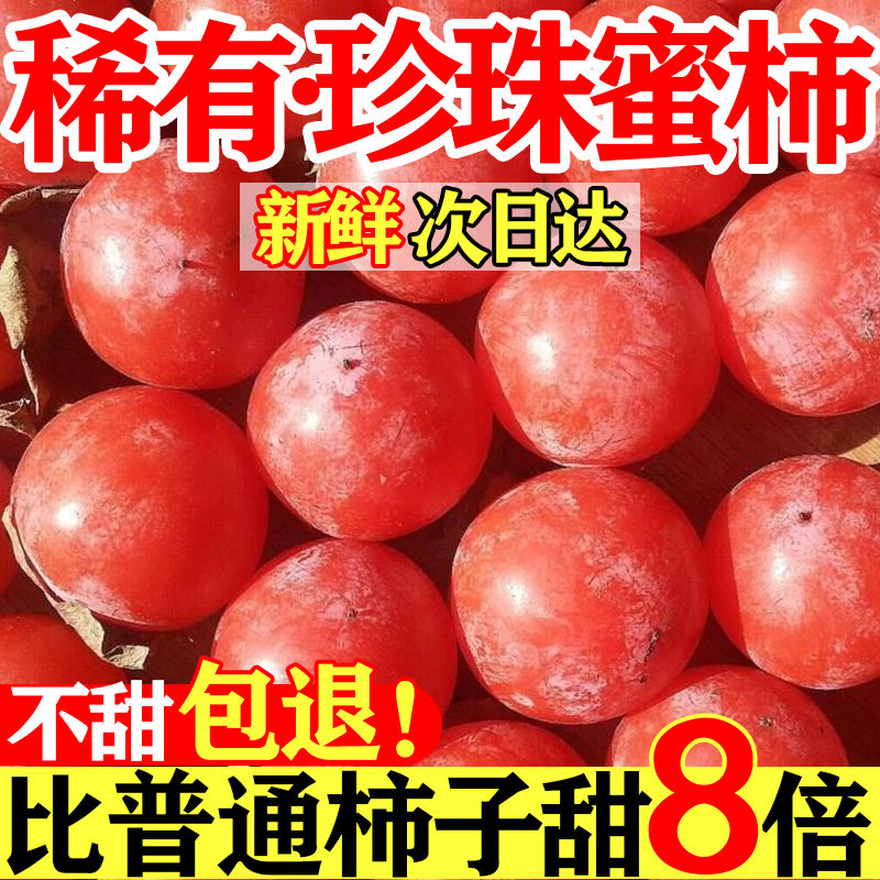 【超甜】陕西野生火罐珍珠蜜柿子当季新鲜水果一口吸的火晶软柿子甜