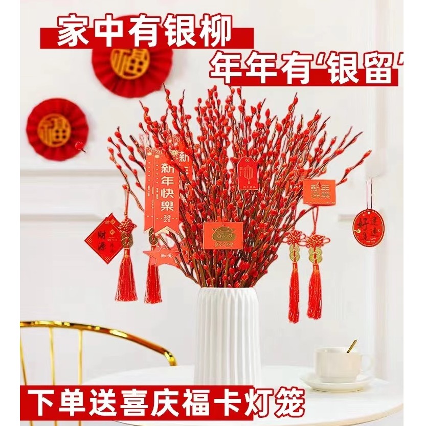 鲜枝银柳真花摆件室内好养年宵花卉盆栽水培绿植物新年红福桶招财