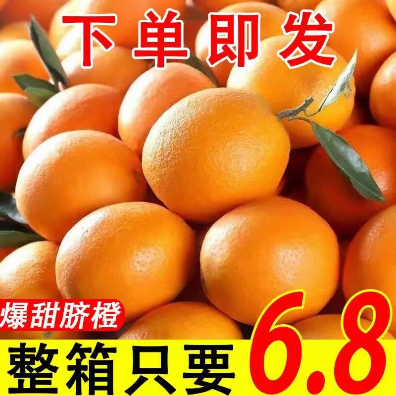 正宗宜昌香甜脐橙原产地种植自然采摘果园现摘脐橙新鲜水果批发