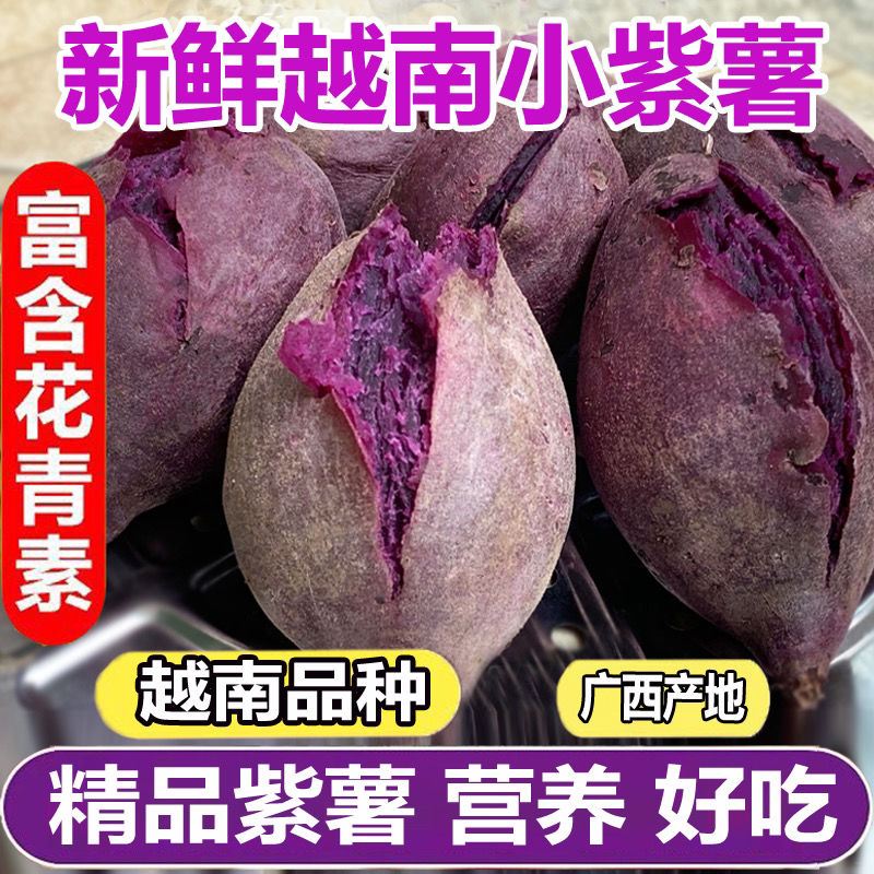 【开依】越南小紫薯2/5斤新鲜现挖红薯一整箱番薯地瓜小个圆珍珠紫