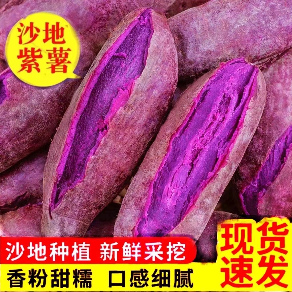 【进取】【代餐】新鲜紫薯现挖紫罗兰红薯蜜薯沙地番薯地瓜蔬菜整箱批