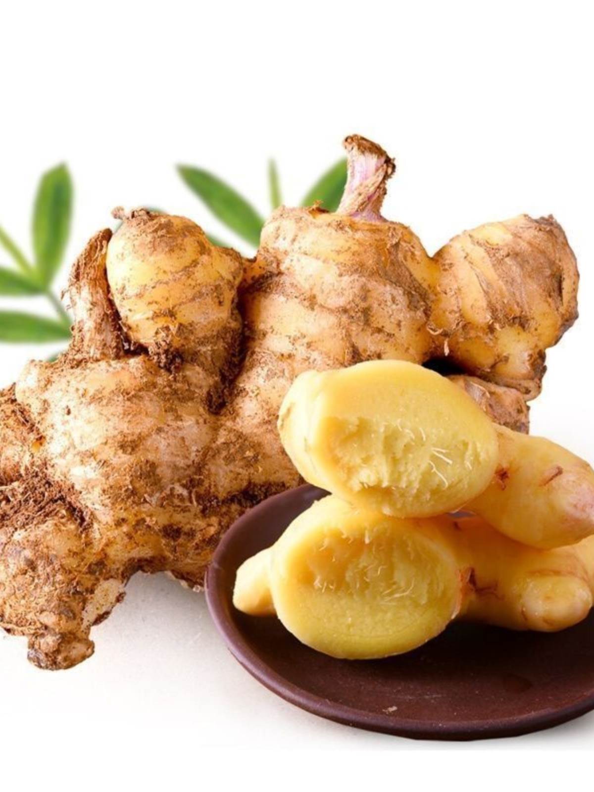 【进取】云南小黄姜老姜生姜新鲜黄姜土姜现挖子姜嫩姜鲜姜嫩姜牙10