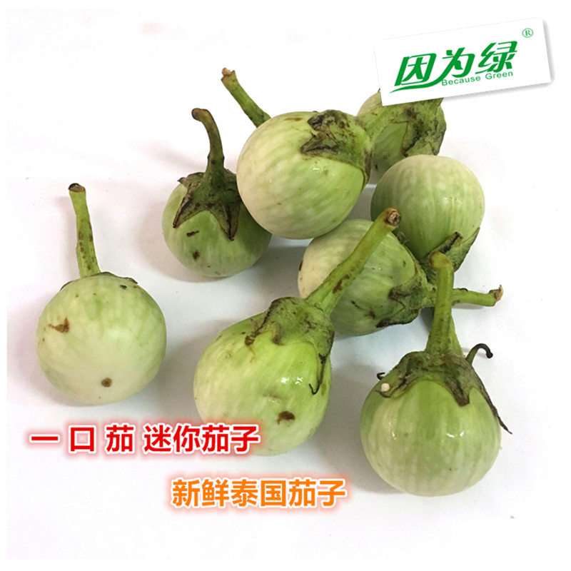 【小扬哥甄选】泰国小茄子 圆茄 一口茄 泰国圆茄子 500g 江浙沪