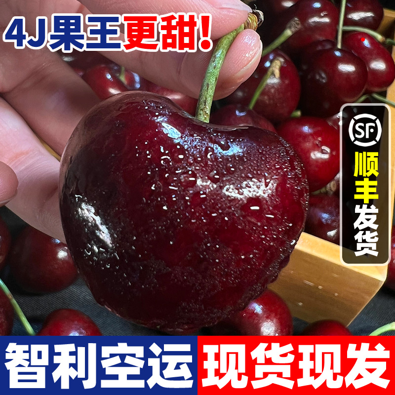 空运智利进口车厘子肉厚 多汁1/5斤新鲜脆甜应季签收包赔产品采摘