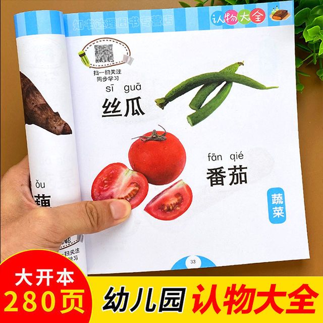 宝宝认物大全儿童早教启蒙书0-3岁幼儿园小中大班认识水果蔬菜卡