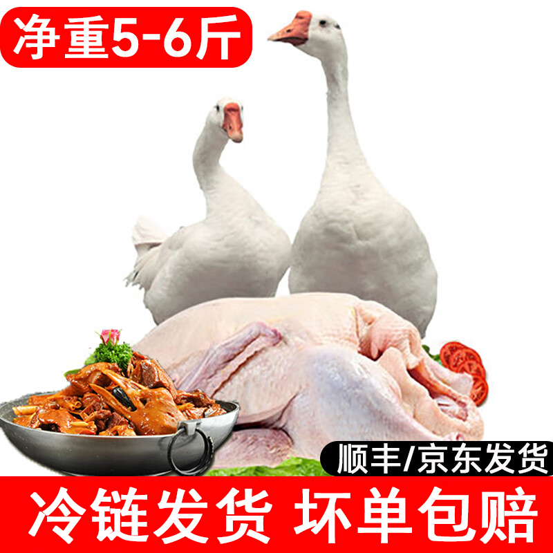 【买一送一】净重5-6斤买大鹅送土鸭一只 大白鹅