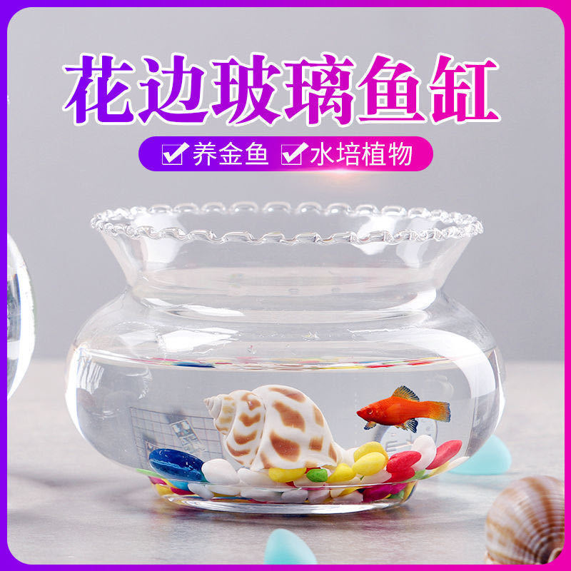 花边玻璃鱼缸小型家用金鱼缸乌龟缸桌面生态迷你小鱼缸水培绿萝缸