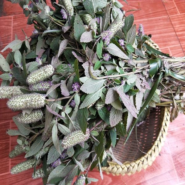 贵州毕节织金特产木姜花 2023年新货干木姜花  1 把25朵 以上