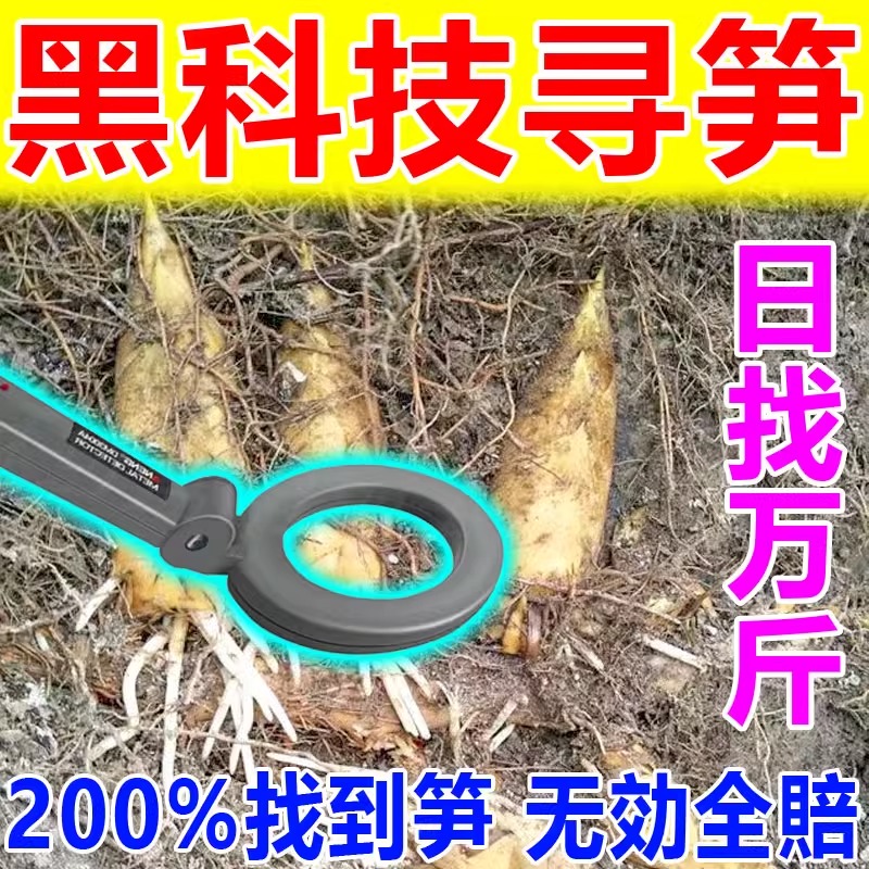 【找笋神器】2024新款找冬笋眼镜竹林山地找冬笋专业挖笋探测器zy