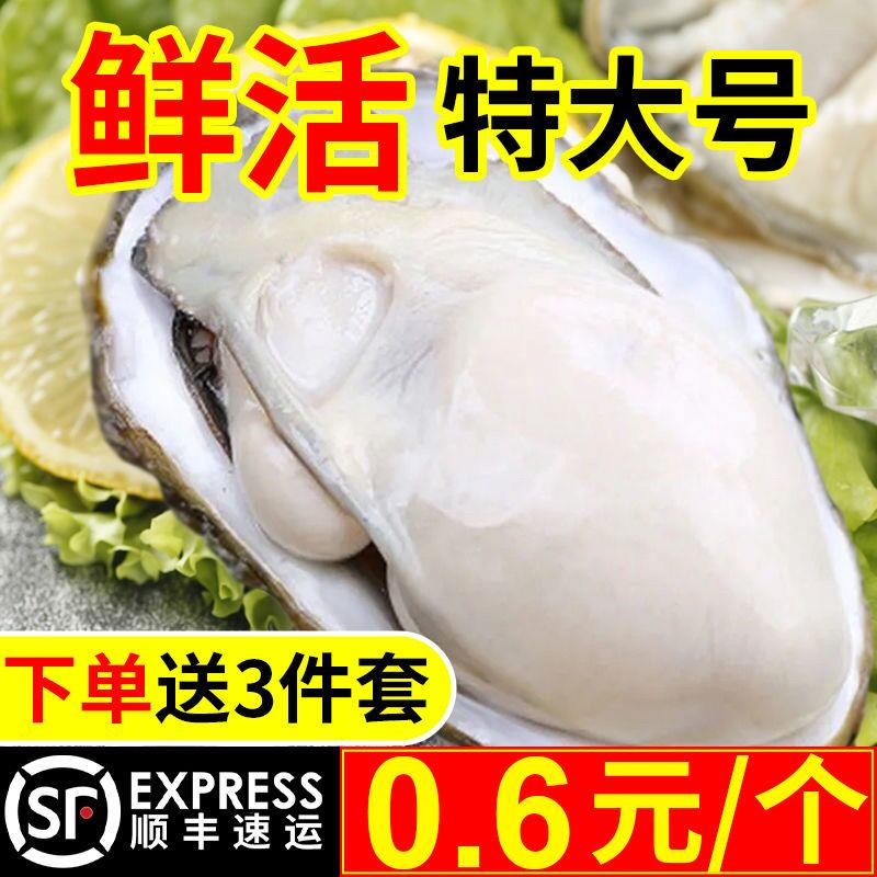 海鲜鲜活生蚝野生福建生蚝新鲜海蛎子带壳大生蚝肉牡蛎即食烧烤