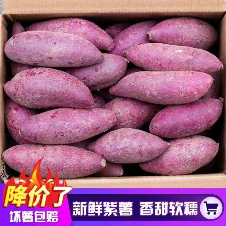 【抢一箱】新鲜紫薯紫罗兰红薯1-9斤番薯地瓜山芋紫蜜薯蔬菜板栗薯